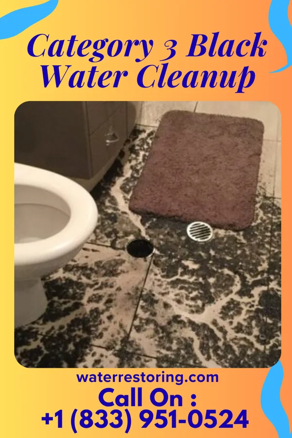Category 3 Black Water Cleanup in Stidham, OK
